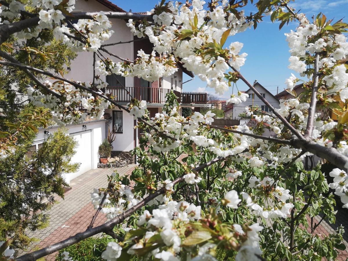 Casa Din Noua Hotel Brasov Luaran gambar