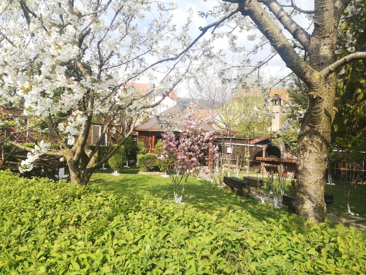 Casa Din Noua Hotel Brasov Luaran gambar